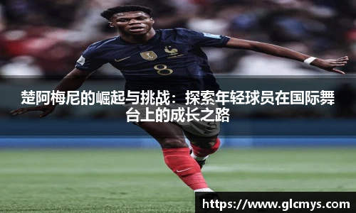 zoty中欧手机最新版本